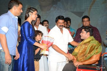Supreme Movie Success Meet